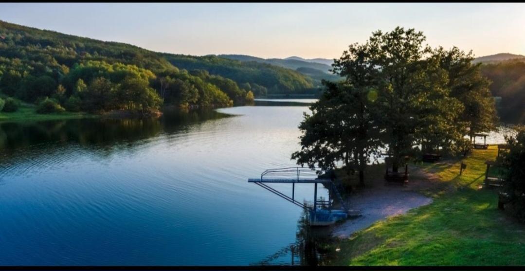 Vila Tea Borsko Jezero Villa Bagian luar foto