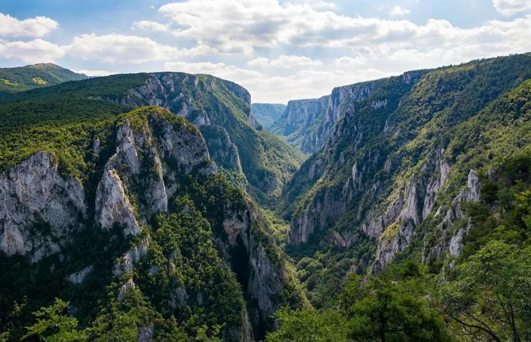 Vila Tea Borsko Jezero Villa Bagian luar foto