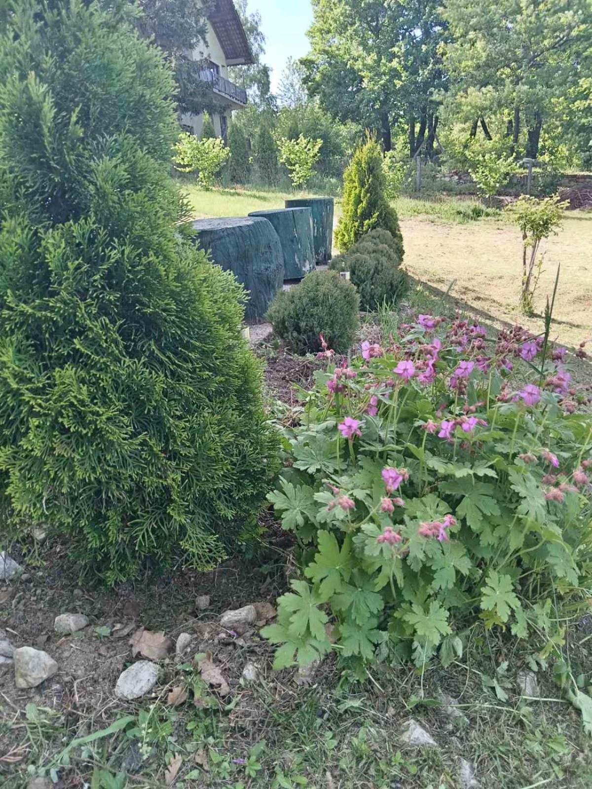 Vila Tea Borsko Jezero Villa Bagian luar foto